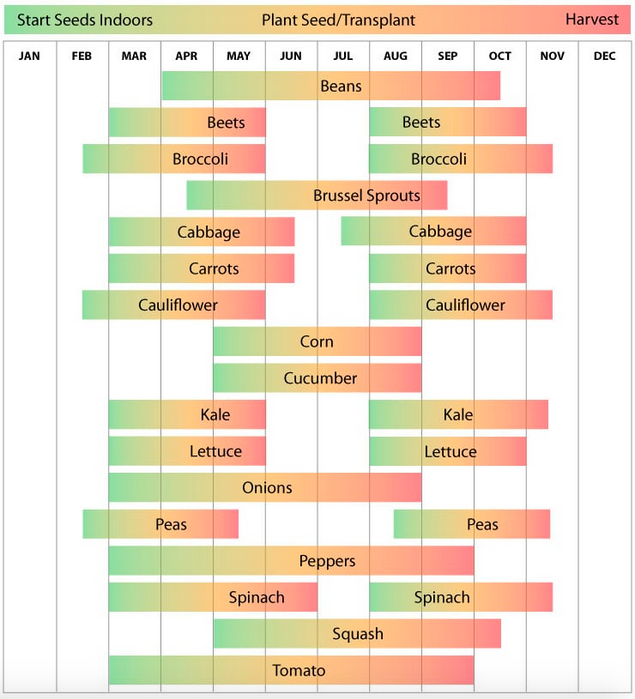 Planting Schedule for Our USDA Zone 7a