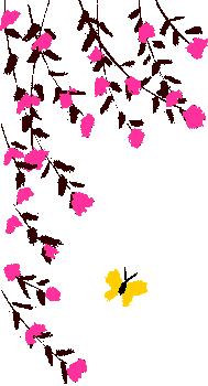 Description of the image